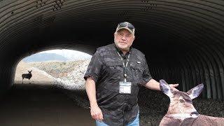 Living with Wildlife | Migration Corridor: Part 1