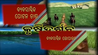 କୃଷି ଦର୍ଶନ || Krushi Darshan ||  03 May 2021