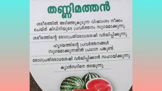 അറിവിലൂടെ ആരോഗ്യം #ഗുണങ്ങൾ അറിഞ്ഞു കഴിക്കാം പച്ചക്കറികൾ പഴങ്ങൾ