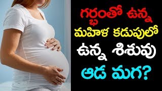 Know Baby Gender in Pregnancy? గర్భం తో ఉన్న మహిళ కడుపులో  ఉన్న శిశువు ఆడ మగ?