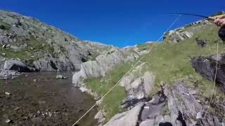 Fly Fishing in alto Ticino 2016