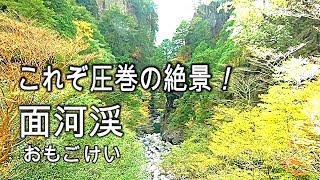 日本最青の面河渓