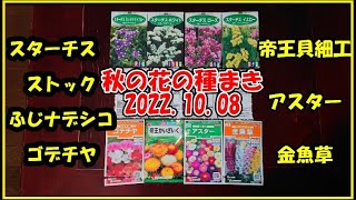 【2022秋の花の種まき】種の有効期限はいつまで？自家採取の種はできている？種まき培土はどのようなものがよいのでしょうか？