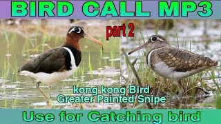 BIRD CALL PART 2 | Greater Painted Snipe | use for Bird call | Oneng Simon TV