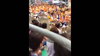 20150812 阿波踊り