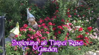 Exploring at Taipei Rose Garden || Marie Galve