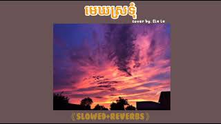 មេឃស្រទុំ - Van chesda(cover by Ela la )《slowed+reverb》