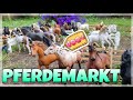 Der große PFERDEMARKT!🐴💰Pferdekauf + DIEB?😱Schleich Video