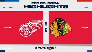 NHL Highlights | Red Wings vs Blackhawks - February 25, 2024