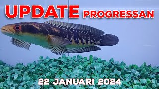 Update Progress & Treatment 22 Jan 24