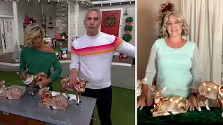 Kringle Express Indoor/Outdoor Baby Deer on QVC