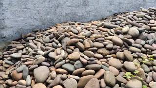 Pebbles @ wholesale price | Pebble shop visit | 1 kg =12 ₹ | Garden Outdoor Table I AMBADY PEBBLES 🔥