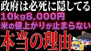 【政府の愚策】米の値上がりが止まらない本当の理由があまりにも最悪すぎた…