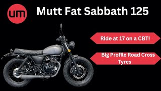 Mutt Fat Sabbath 125 - Ride at 17 on a CBT! - Walk Around