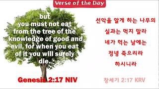 (BB말씀 0179) 선악을 알게 하는 나무의 실과는 먹지 말라 네가 먹는 - Genesis 2:17, 창세기 2:17 - 영어말씀암송하기 Bible Verse Recitation