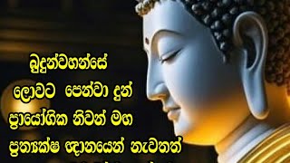 ආශ්චර්යයි අද්භූතයි ආන්දෝලනාත්මකයි / බුද්ධෝත්පාද දේශනා තුළින් නිවන් මග නැවතත් ලොවට විවර විය - 76