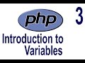php tutorial for beginners #3 | Introduction to variables
