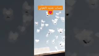 طيور تور 🐧 حساب جديد تابعوني 💗🔥 #pigeon #bird