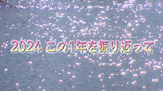 岡崎市（公式）/チャンネルおかざき特集「2024 この1年を振り返って」