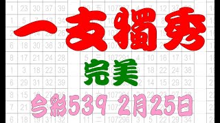 【539鬼谷子】2月25日 上期中36 今彩539 一支獨秀