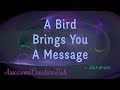 Abraham Hicks Snippet:  A Bird Brings You A Message