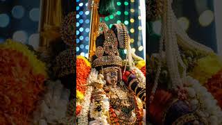 Namperumal nachiyar Thirukolam 🥹❤️🙏 #namperumal #srirangam #vaikundaekadesi #festival #pagalpathu