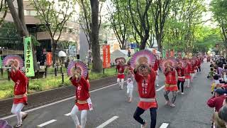 2022年5月14日仙台青葉まつり　まつりめごひめ   定禅寺通り流し　北側