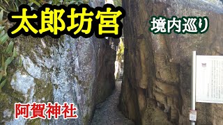 【太郎坊宮】貴方はこの岩の間を通れますか？神の霊力で切り開いた巨岩