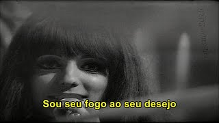 Shocking Blue - Venus (Tradução)