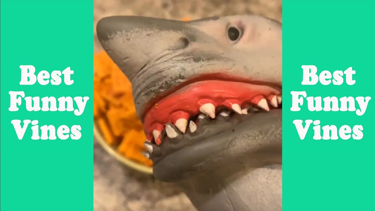 The Shark Puppet Most Viewed Tik Tok Video Feeling All Good