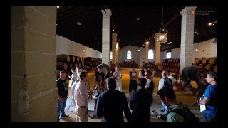 Visiting González Byass Sherry winery  (2019)