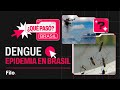 Epidemia de dengue en Brasil | Qué Pasó