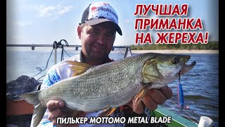 Лучшая приманка на жереха. Пилькеры Mottomo Metal Blade