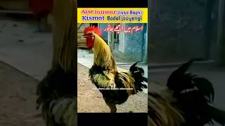 Good Animals In Islam🔥| Islam Mein Acche Janwar #shorts #islam #viral #trending #amazingfacts