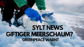 Sylt News. Giftiger Meerschaum auf Sylt? Greenpeace warnt vor hohen PFAS Werten.