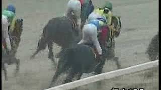 ２００７年度福山競馬サラアラ混合特別競走「オッズパーク賞福山チャンピオンシップ」