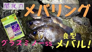 【メバリング】闇夜の磯でグラスミノーを使って巨大メバルを狙え！