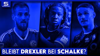 Holt Schalke Verlinden? Drexler will nicht gehen! Schallenberg-Zukunft! Soppy zurück! | S04 NEWS