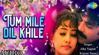 Tum Mile Dil Khile | Criminal Movie | Kumar Sanu, Alka Yagnik | Nagarjuna Akkineni, Manisha Koirala