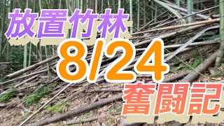 放置竹林奮闘記 【サラリーマンが竹を切る日々】2023/08/24