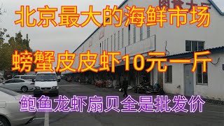 北京最大的海鲜市场，螃蟹虾姑10元一斤，鲍鱼龙虾扇贝全是批发价【食神涛哥美食汇】