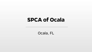 SPCA of Ocala - WUFT's Greater Good