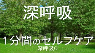 １分間のセルフケア【深呼吸０】※この動画は「２倍速などの倍速再生」では無く、「通常再生」で視聴してください。