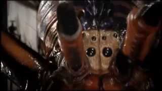 Arachnophobia II Trailer