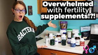 TOP 4 fertility supplements to get pregnant: 3 month fertility challenge