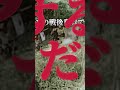 【ifop】枢軸国的勝利ｰ枢軸国が勝利していたら… history 歴史 hoi4 大日本帝国 日本国 ifop 第二次世界大戦