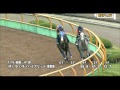 【競馬hd】　2015 7 16　函館記念　ハギノハイブリット　調教動画