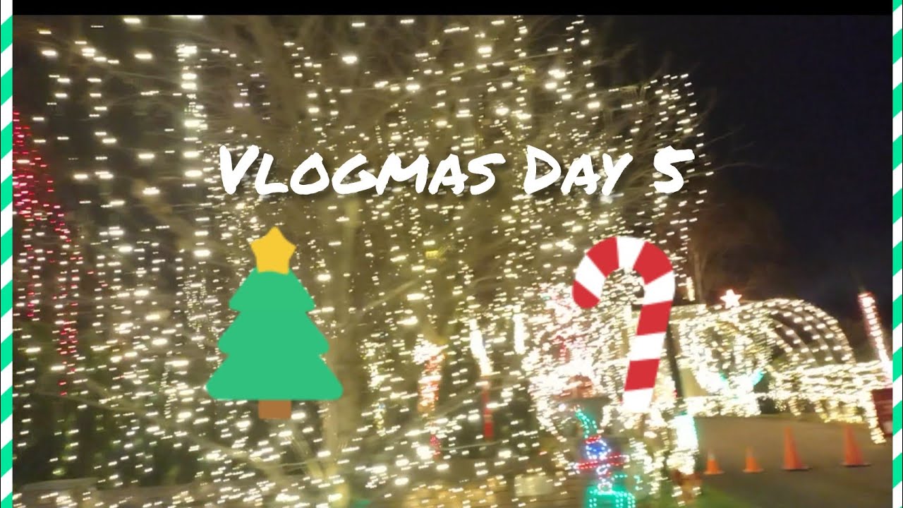 Vlogmas Day 5 Christmas Lights Family Vlog Youtube