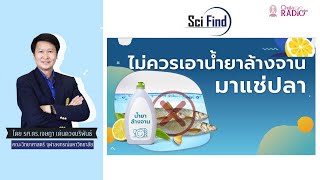 ใส่น้ำยาล้างจานลงถังปลา อันตรายต่อผู้บริโภค ? ติดตามได้ในคลิปนี้  Scifind EP98