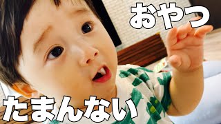 【おやつ時間】大好きなおせんべい　生後11ヶ月赤ちゃん　Japanese baby